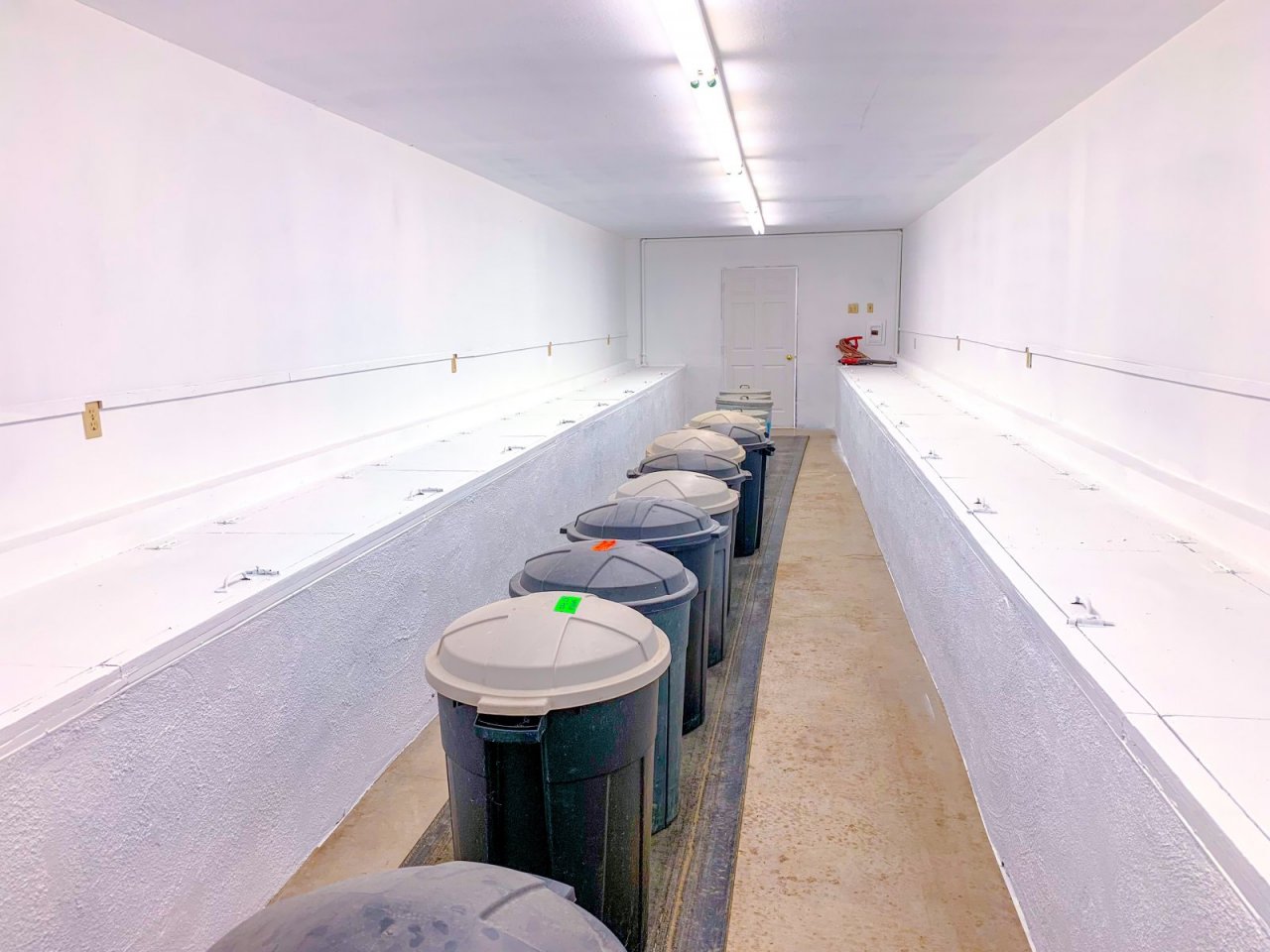 Nelson Kennels Rescue And Volta Farms Training Paw Partner