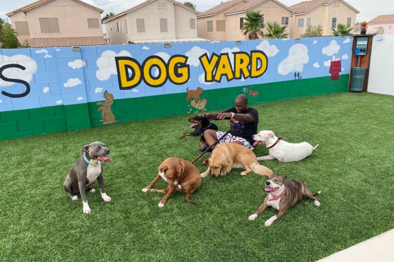 Las Vegas Dog Yard Paw Partner