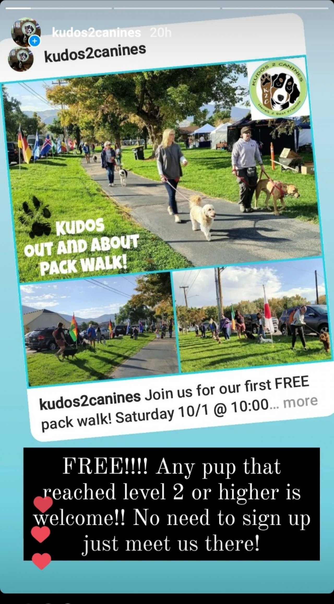 Kudos 2 Canines Paw Partner