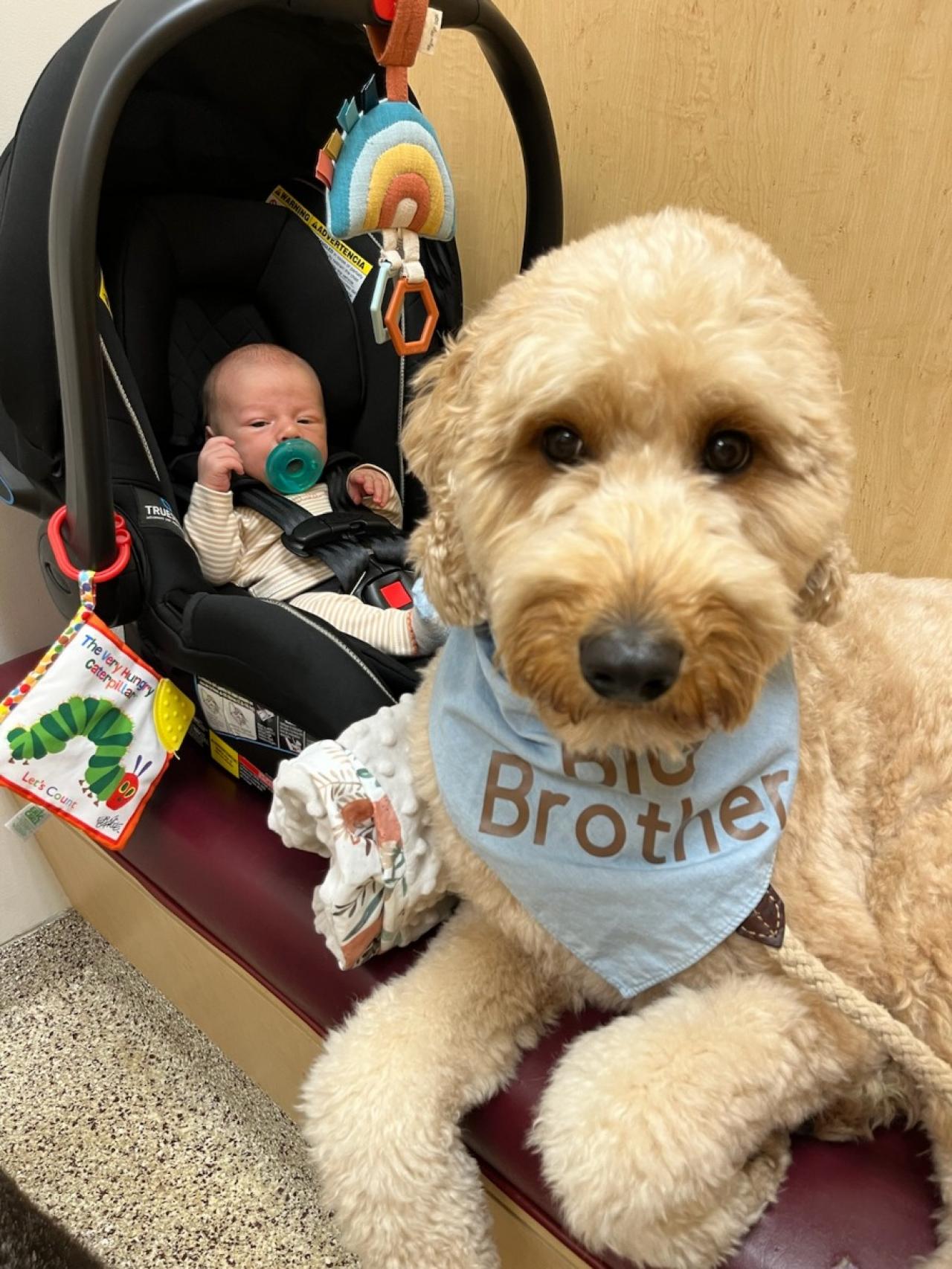 Floyd Farm & Feed Paw Partner