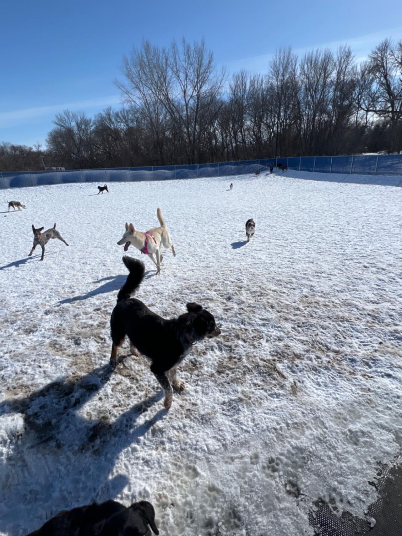 Tera's S'paw & Pet Resort