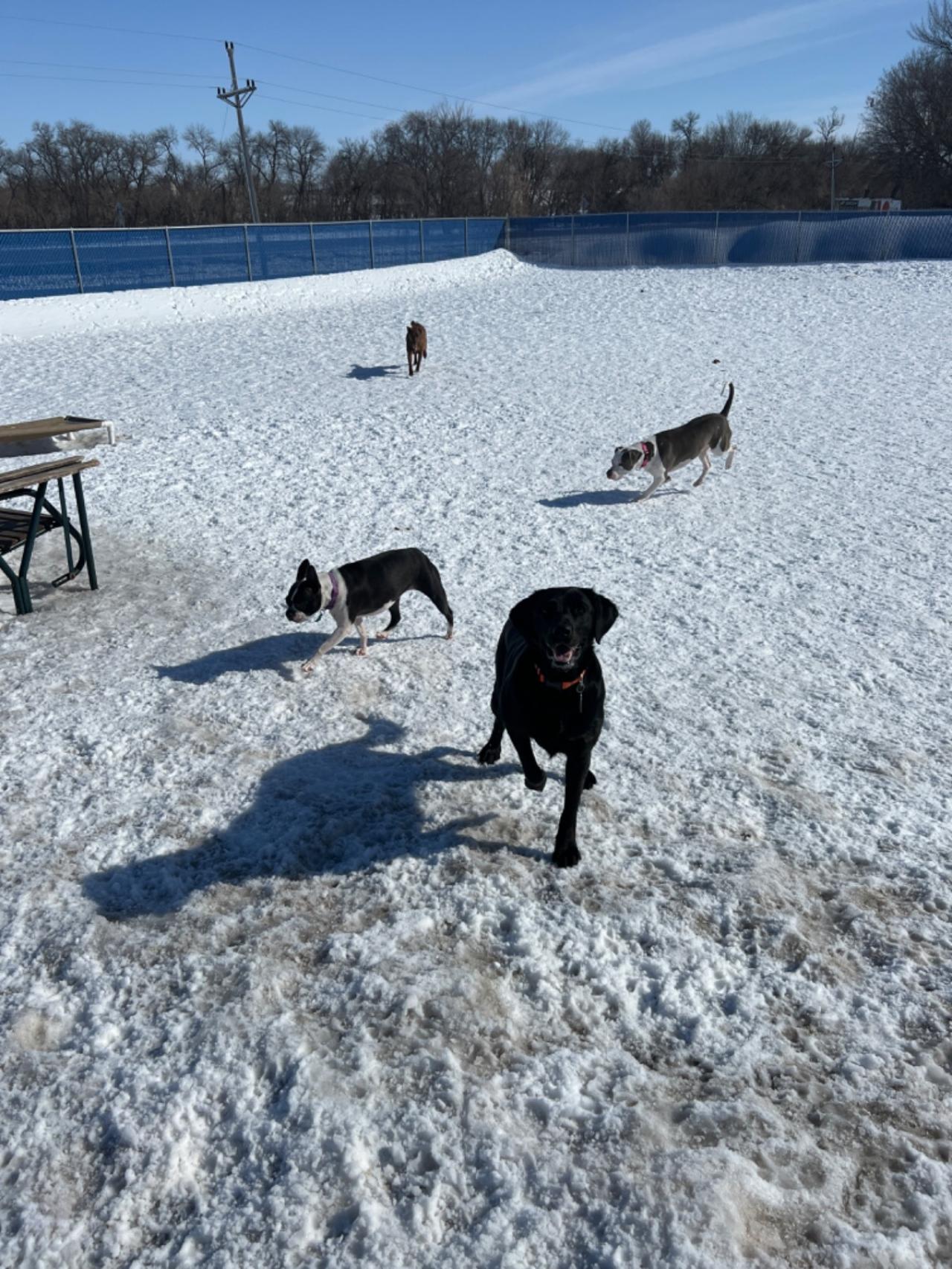 Tera's S'paw & Pet Resort