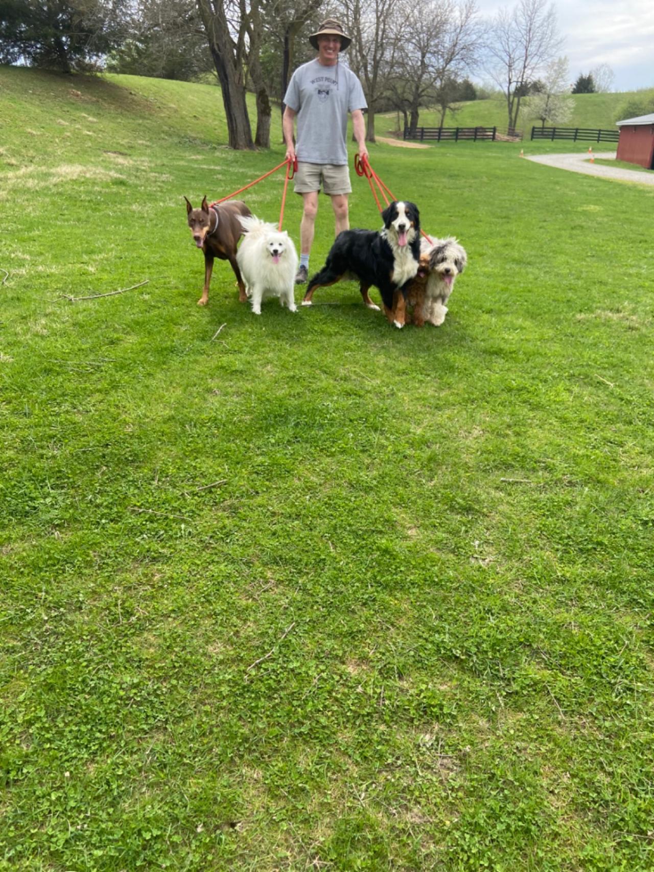 Happy Tails Dog Boarding Paw Partner