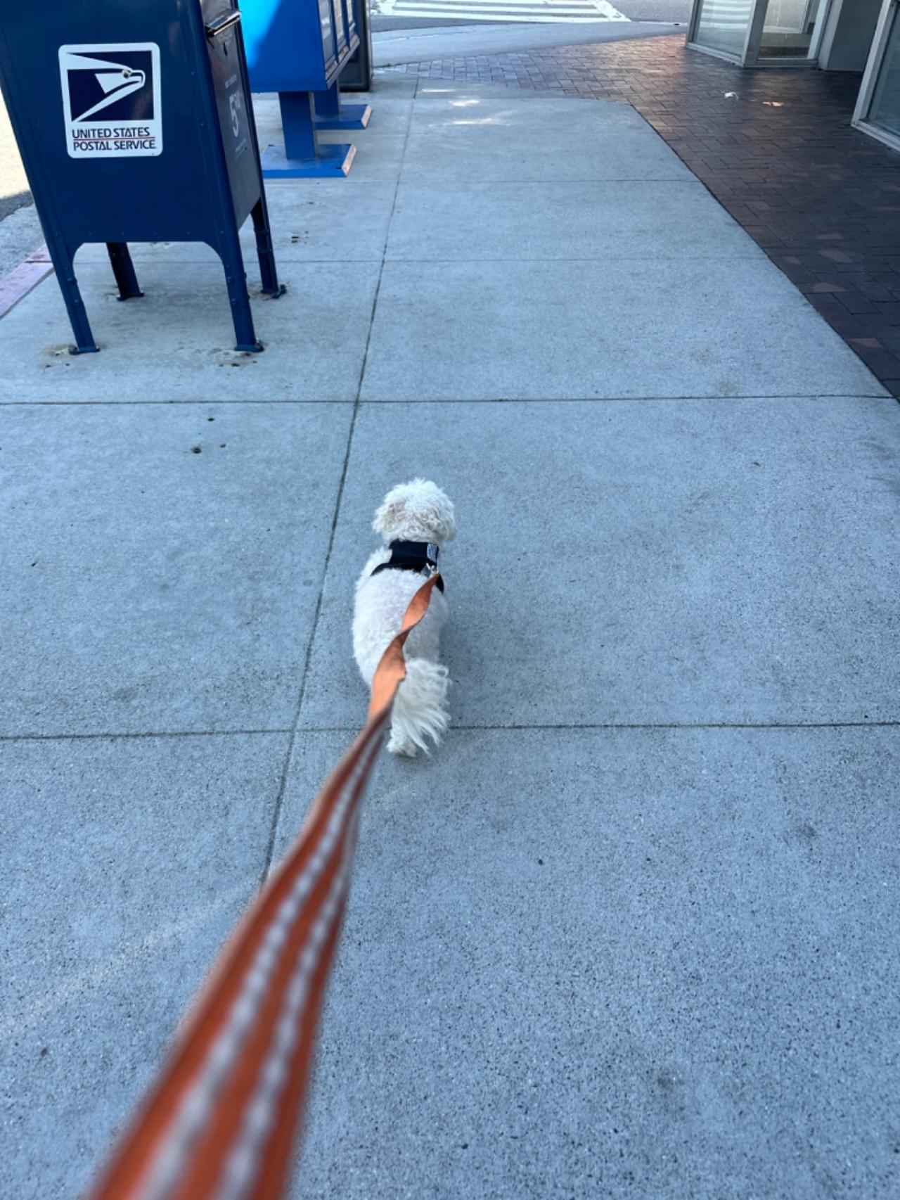 Long Beach House Of Paw Paw Partner