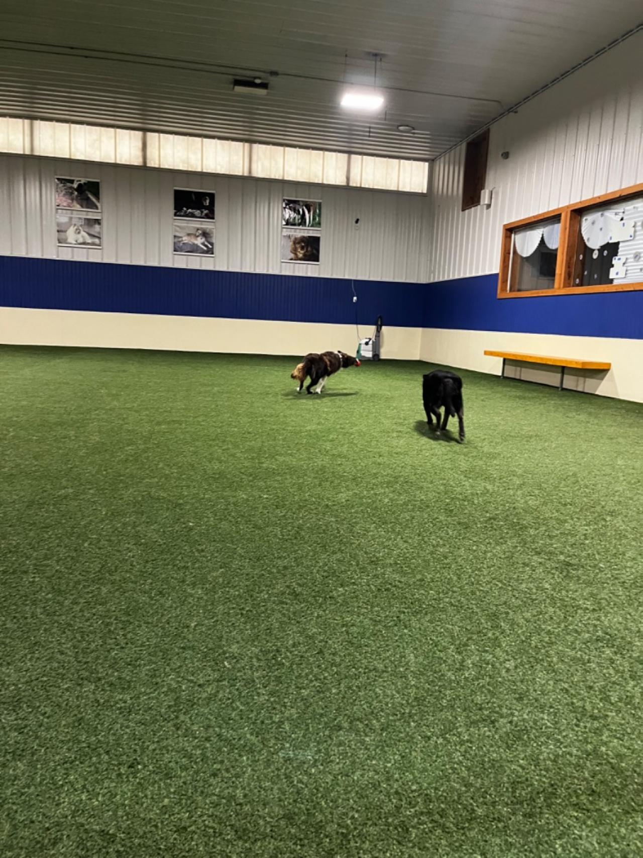 Club k9 At The Ranch Paw Partner