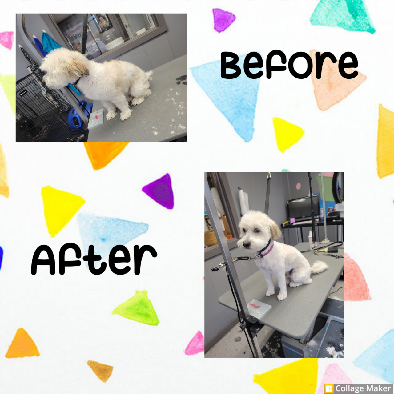 The Dog House & Training Paw Partner