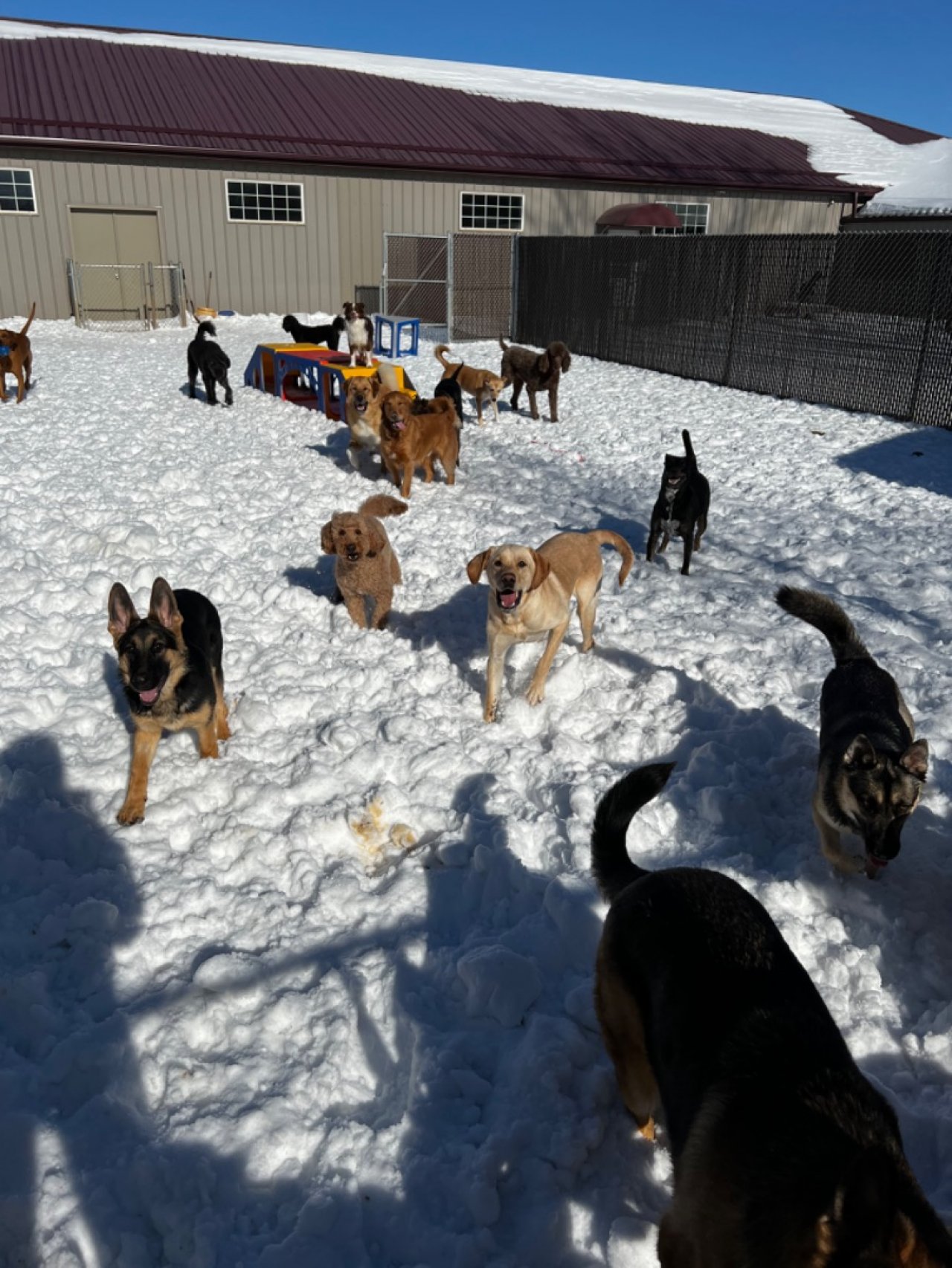 Sam & Danni's Pet Resort & Spa Paw Partner